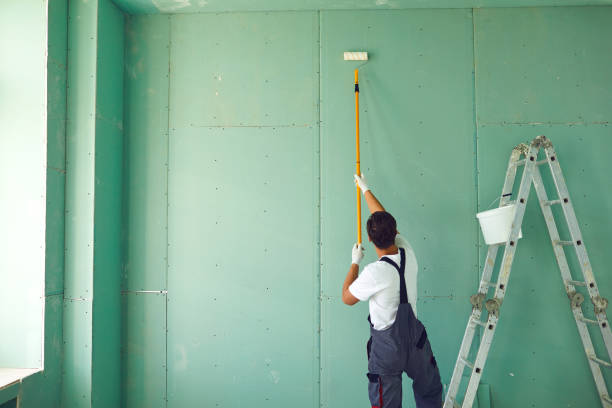 Mold Documentation for Insurance Claims in Lyman, WY