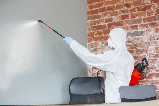 Best Commercial Mold Inspection  in Lyman, WY