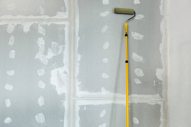 Best Asbestos and Lead Testing During Mold Inspection  in Lyman, WY