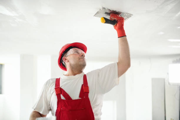 Best Black Mold Removal  in Lyman, WY