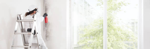 Best Environmental Consulting for Mold Prevention  in Lyman, WY